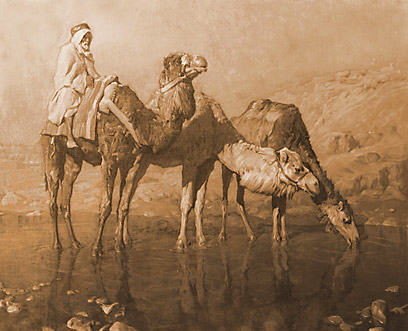 africa_63